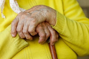 elderly hands holding stick