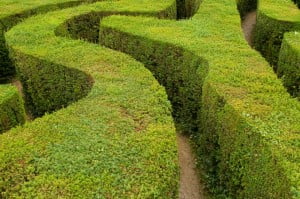 looping path through maze