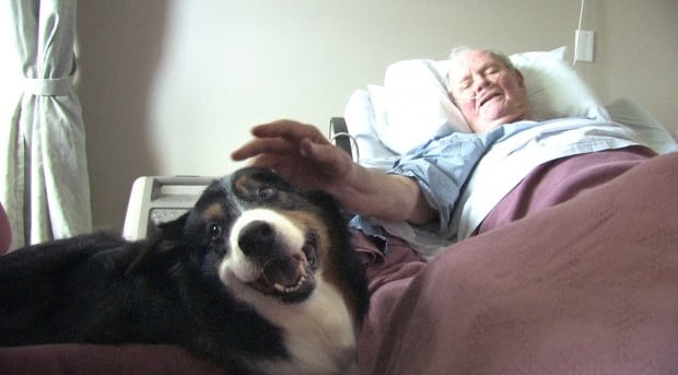 Patient with pet therapy dog edit