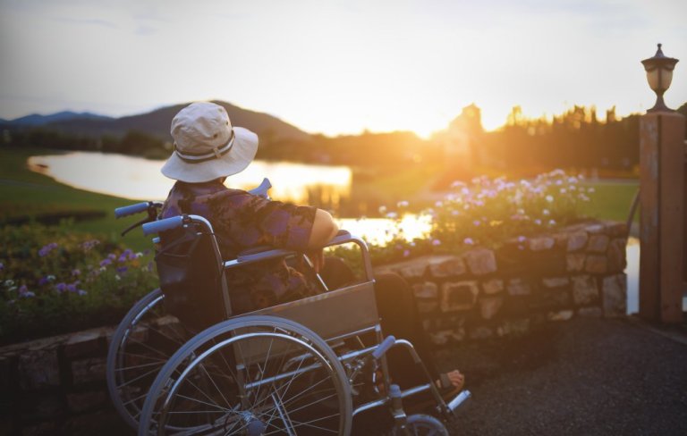 woman in wheelchair watching sunset